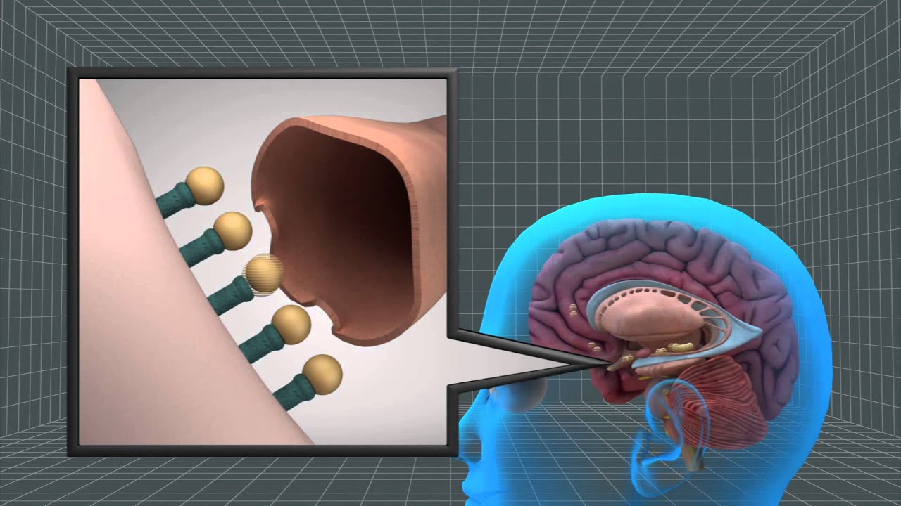 How heroin damages human body How heroin damages human body