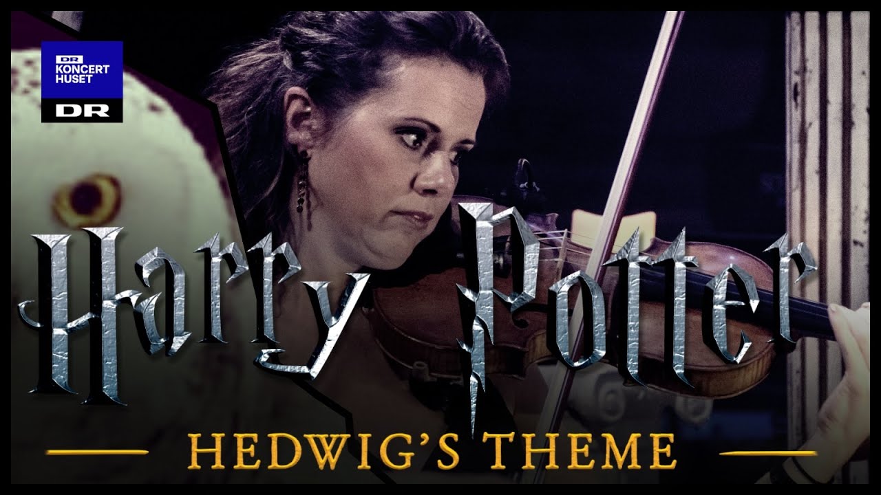 Hedwig's Theme - Harry Potter // Danish National Symphony Orchestra (Live) Hedwig's Theme - Harry Potter // Danish National Symphony Orchestra (Live)