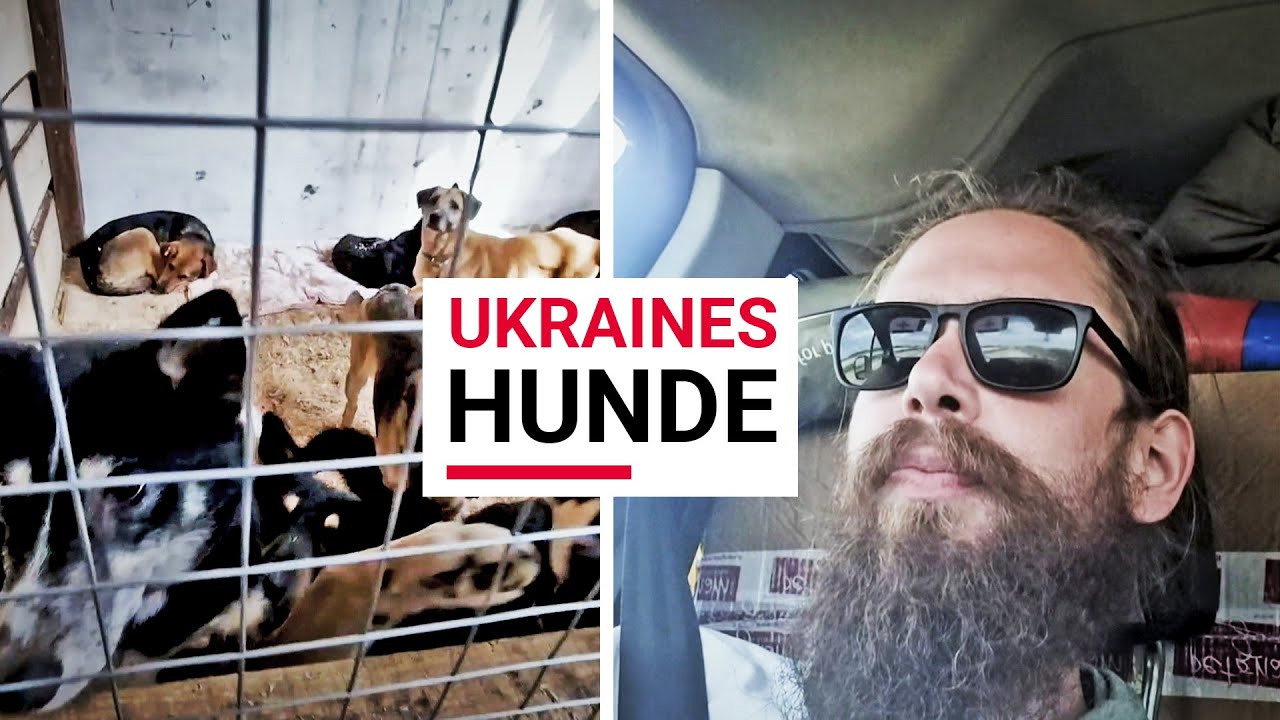 Patrick fra Præstø redder dyr i Ukraine