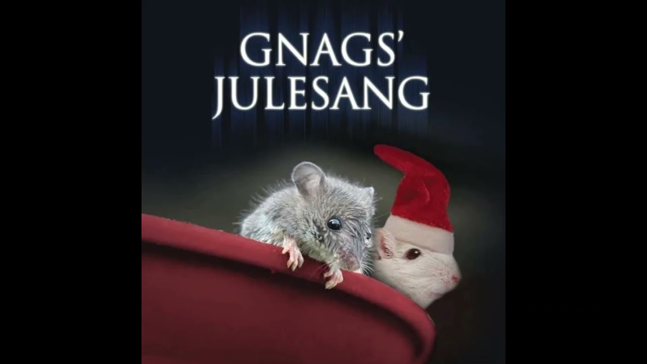 Julesang ( To Mus I En Spand) - Gnags