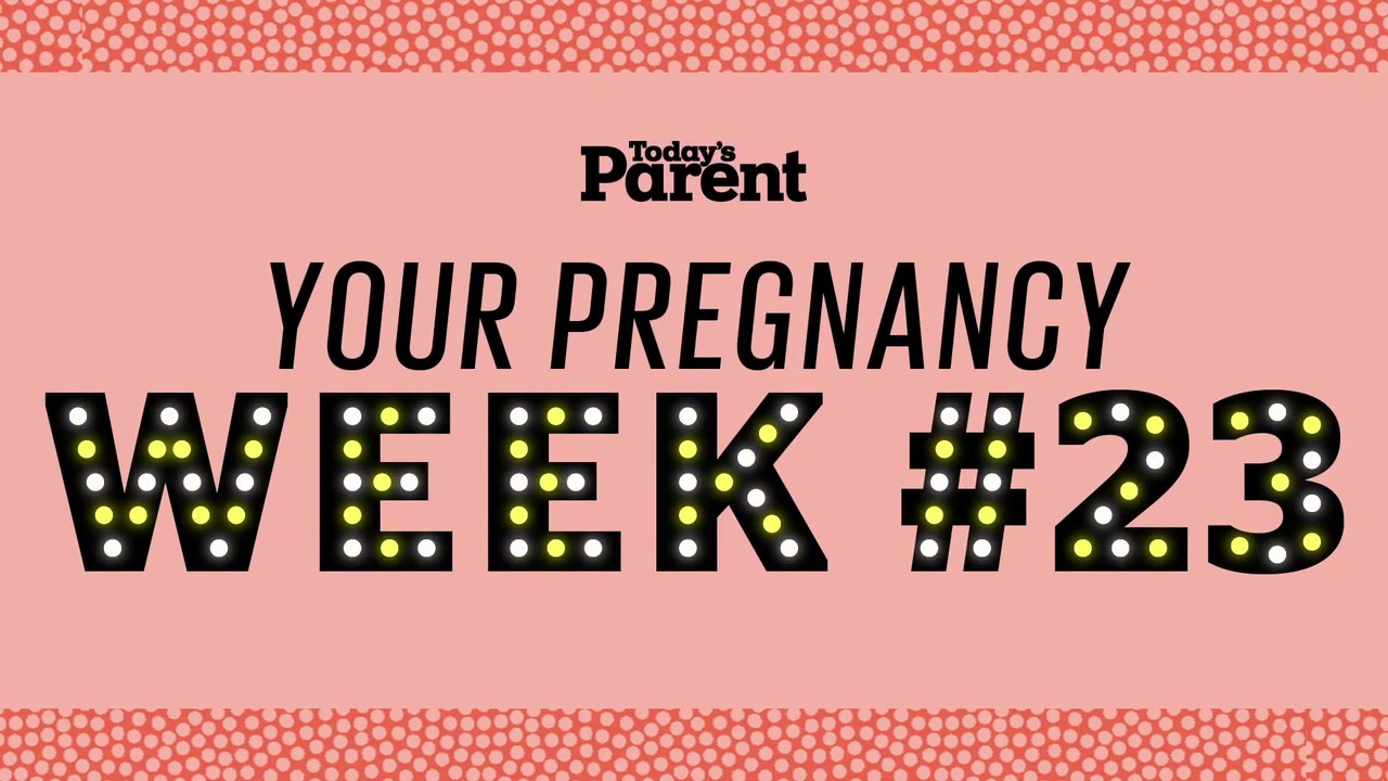 Your pregnancy: 23 weeks