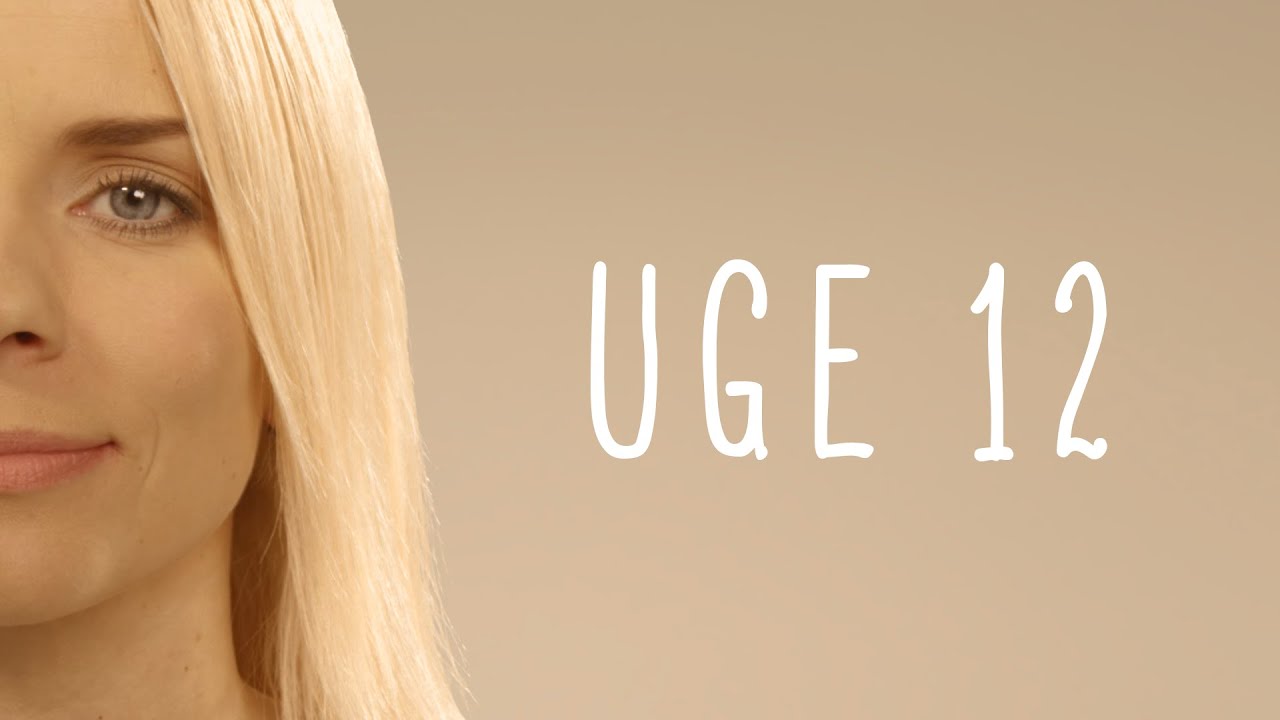 Graviditet uge 12 Graviditet uge 12