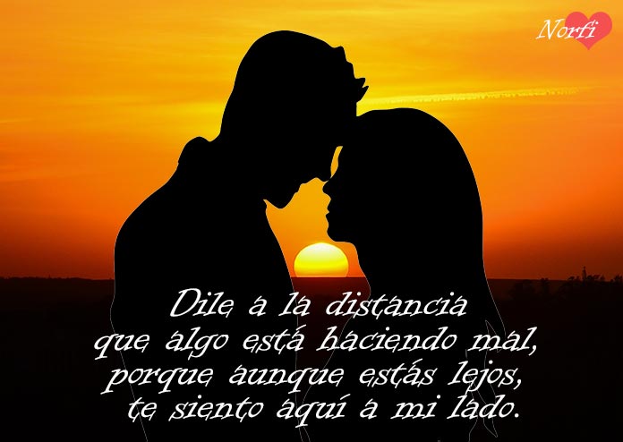 Frases de amor bonitas y románticas para dedicar Frases De Amor Bonitas Y Románticas Para Dedicar