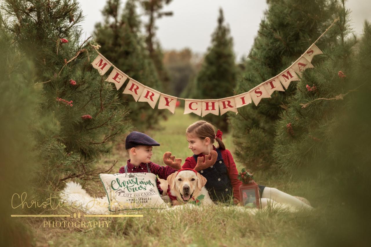 Book a Photo Session — Holiday Acres Book A Photo Session — Holiday Acres