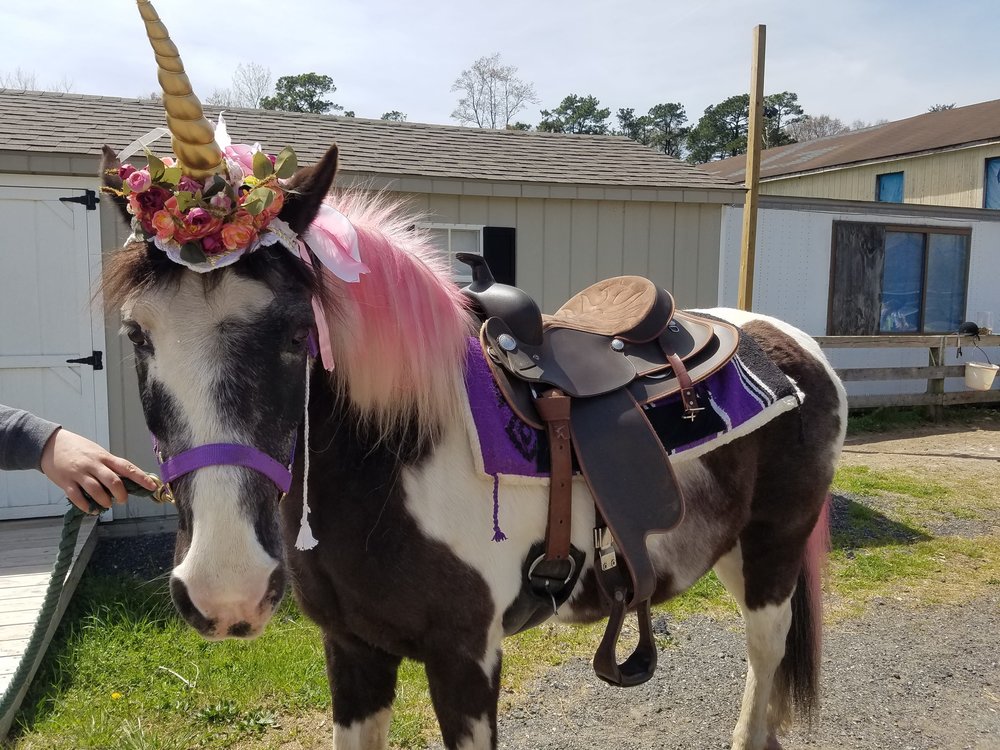 Pony Rides For Events | Party Rentals In Md | Goodtime Amusements