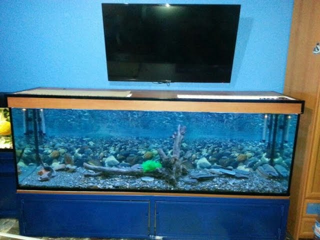 🔧TUTORIAL | Como hacer un Acuario casero de 2metros y 600 litros para tus peces - YouTube 🔧Tutorial | Como Hacer Un Acuario Casero De 2Metros Y 600 Litros Para Tus Peces - Youtube