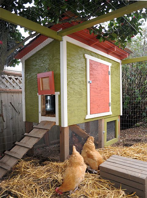 13 Free Chicken Coop Plans You Can DIY This Weekend 13 Free Chicken Coop Plans You Can Diy This Weekend