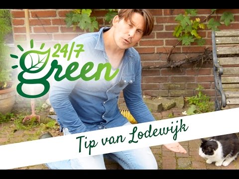 TIP: ZO BLIJVEN KATTEN WEG UIT JE TUIN TIP: ZO BLIJVEN KATTEN WEG UIT JE TUIN