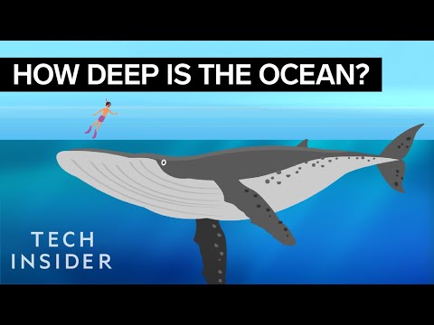 This Incredible Animation Shows How Deep The Ocean Really Is This Incredible Animation Shows How Deep The Ocean Really Is