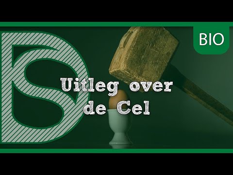 Examen Biologie - Uitleg de Cel (Havo/VWO) Examen Biologie - Uitleg de Cel (Havo/VWO)