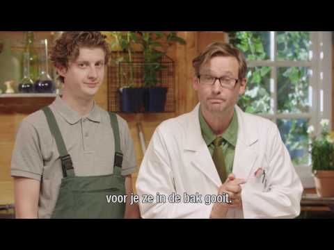 Maden in je gft-bak: hoe voorkom je dat? Maden in je gft-bak: hoe voorkom je dat?
