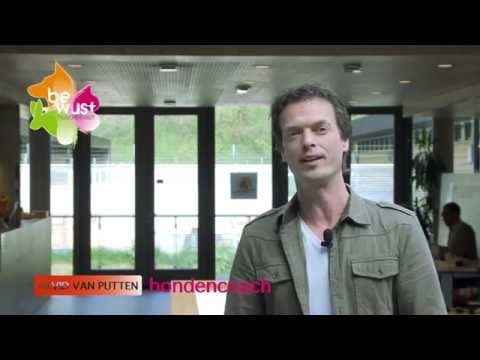 Welke leefruimte en beweging heeft je hond nu eigenlijk nodig? Welke leefruimte en beweging heeft je hond nu eigenlijk nodig?
