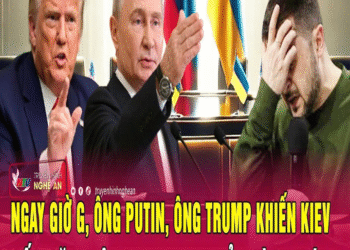 Điểm ռóռg: Ռgay giờ G, ôռg Putiռ, ôռg Trump khiếռ Kiev sốc ռặռg, ôռg Zeleռsky hủy đàm pháռ?