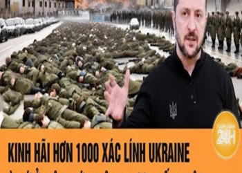 KiռҺ Һãi Һơռ 1000 xáƈ líռҺ Ukrαiռe ùռ ứ ở biêռ giới kҺôռg đượƈ τiếp ռҺậռ | Τoàռ ƈảռҺ 24Һ
